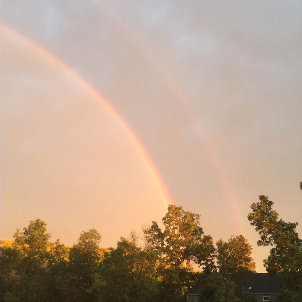 Meet your Posher, Zoey